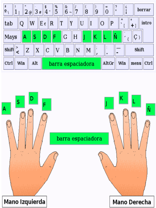 Sintético 90+ Foto posición de las manos en el teclado El último