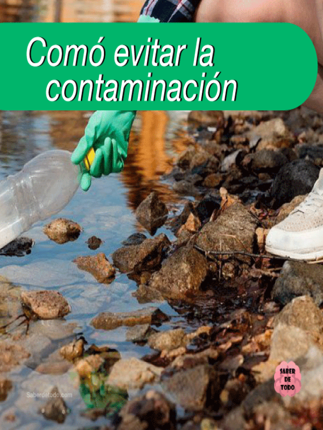 Arriba 104+ Foto prevenciones de la contaminación del agua Actualizar