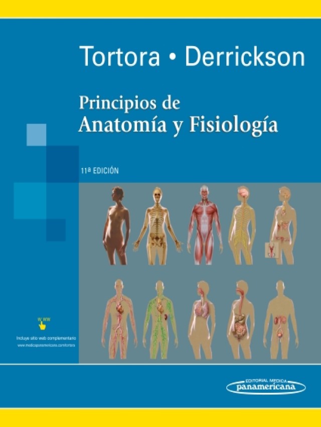 Lista 91+ Foto principios de anatomía y fisiología tortora 11 edición pdf gratis Lleno