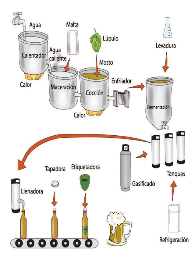 Lista 93+ Foto proceso de elaboración de bebidas alcohólicas Mirada tensa