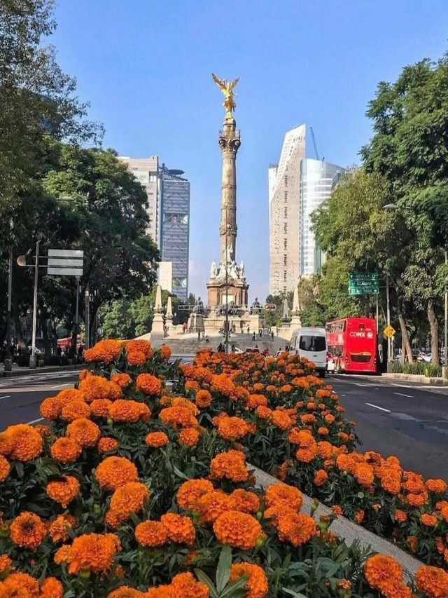 Lista 103+ Foto puente de cempasúchil en el cielo Actualizar