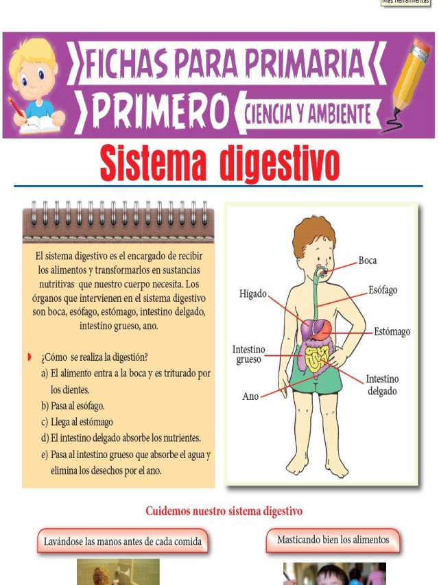 Arriba 90+ Foto que es el sistema digestivo para niños Mirada tensa