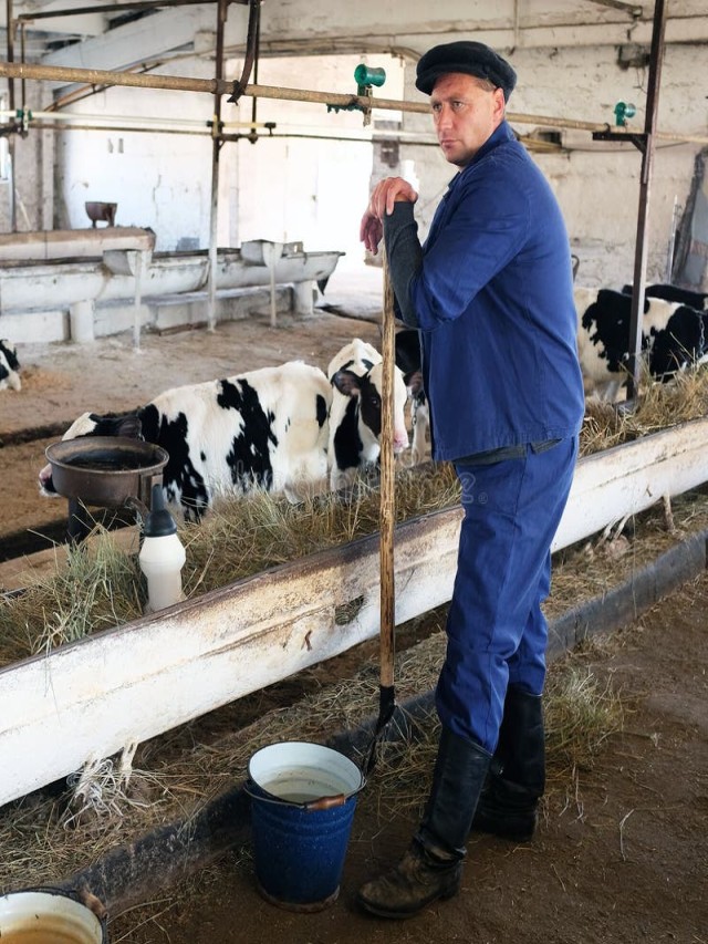 Em geral 99+ Imagen que hace un granjero con una vaca chiste Cena hermosa