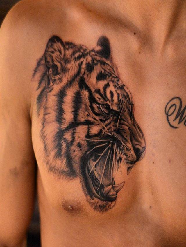 Lista 94+ Foto que significa un tigre en tatuaje Actualizar