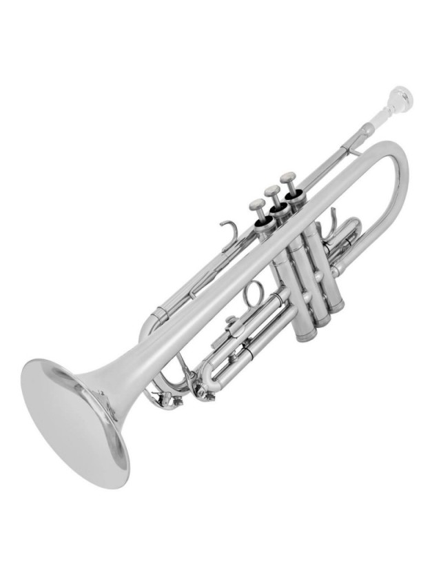 Arriba 91+ Foto que tipo de instrumento es la trompeta Actualizar