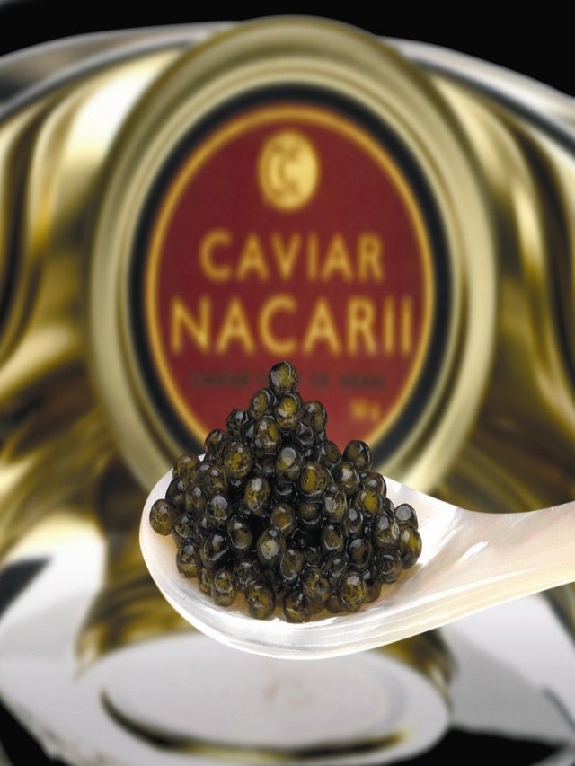Álbumes 104+ Foto que tipo de palabra es caviar El último