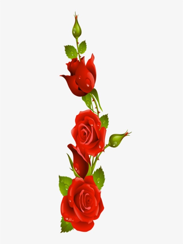 Álbumes 91+ Foto ramo de rosas rojas con movimiento y brillo El último