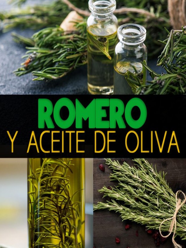 Álbumes 90+ Foto romero y aceite de oliva para el cabello El último