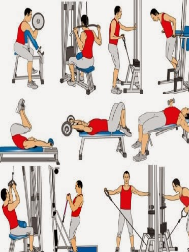 Arriba 99+ Foto rutina para bajar de peso en el gym hombres Lleno