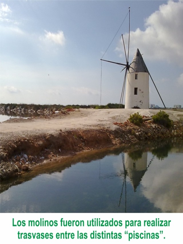 Álbumes 92+ Foto salinas y arenales de san pedro del pinatar fotos Mirada tensa