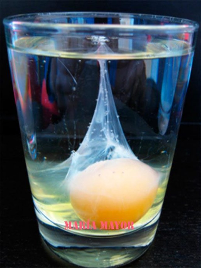 Lista 91+ Foto significado de la limpia con huevo con imágenes Actualizar
