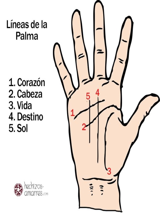 Sintético 100+ Foto significado de las lineas de la palma de la mano Mirada tensa