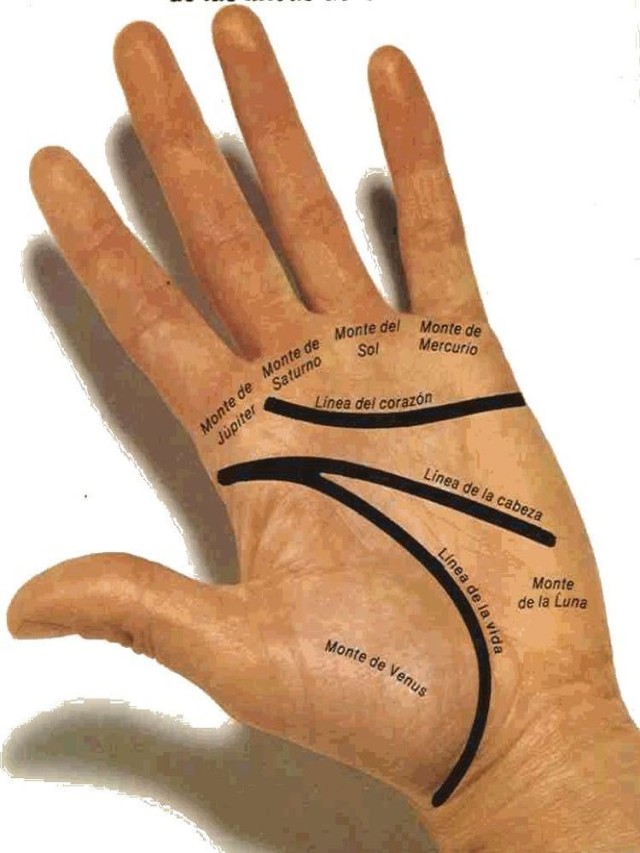 Arriba 105+ Foto significado de lunar en la palma de la mano Actualizar
