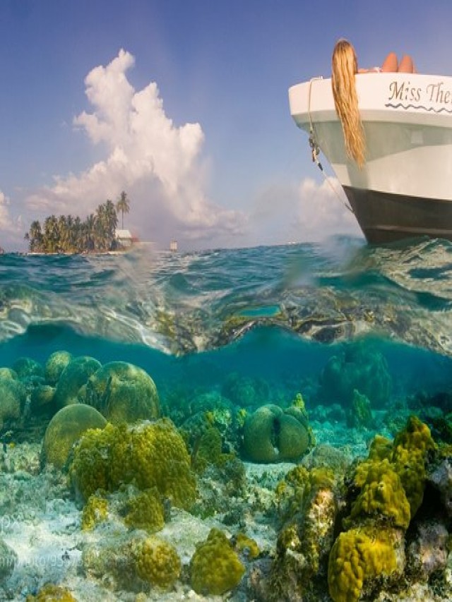 Lista 95+ Foto sistema de reservas de la barrera del arrecife de belice Actualizar