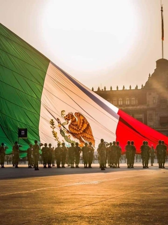 Álbumes 99+ Foto soldados con la bandera de mexico El último