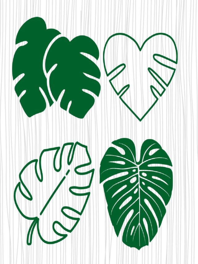 Sintético 103+ Foto stencil de hojas tropicales para imprimir Mirada tensa