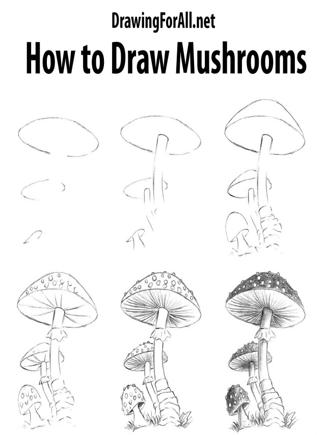Lista 94+ Imagen step by step trippy mushroom drawing El último