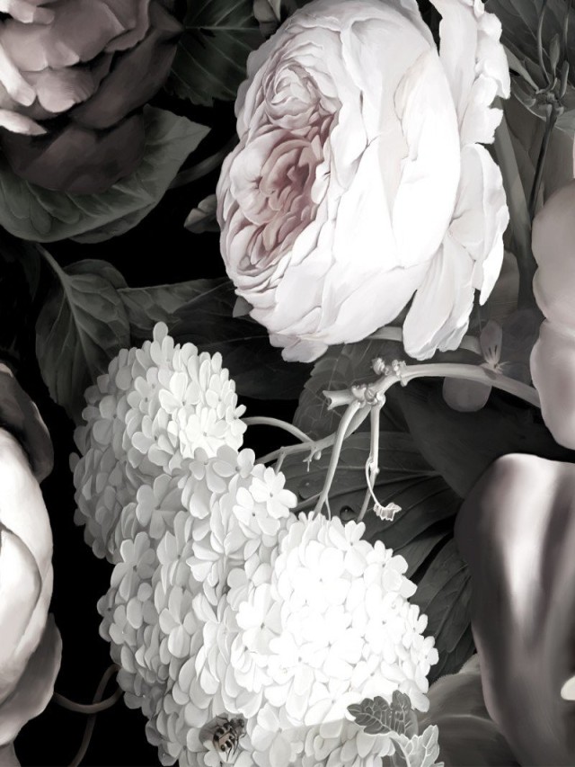 Sintético 98+ Foto tapiz de flores blanco y negro Actualizar