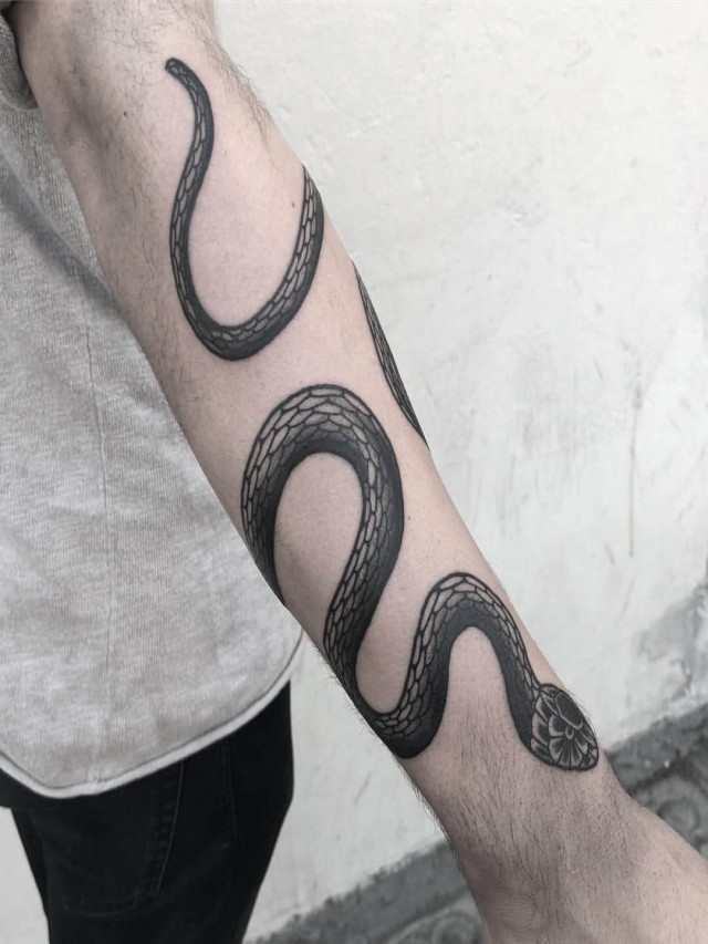 Álbumes 94+ Foto tatuaje de serpiente en el brazo Lleno