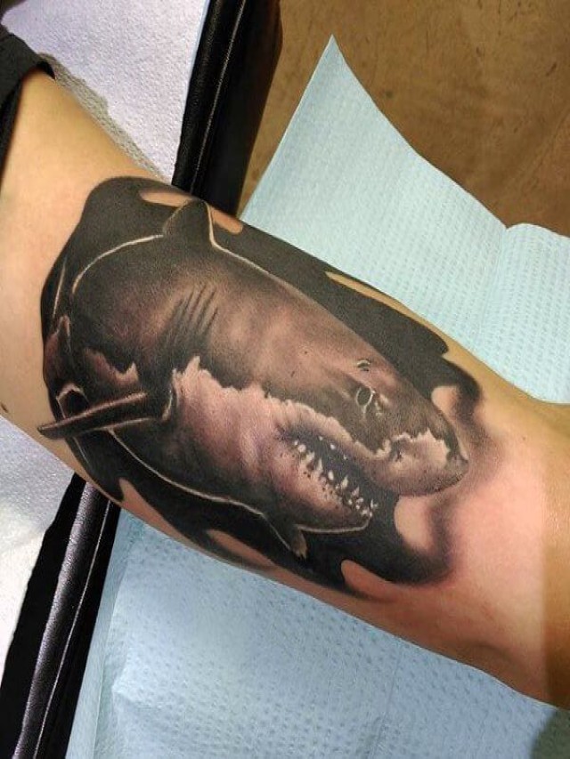Álbumes 101+ Foto tatuaje de tiburon en el brazo Actualizar