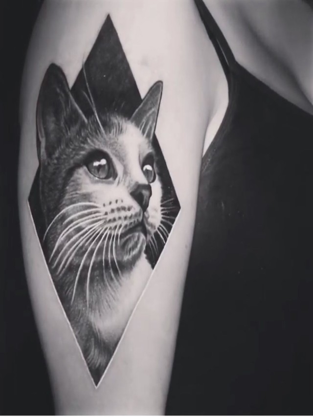 Em geral 97+ Imagen tatuajes de gatos para mujeres en el brazo Lleno