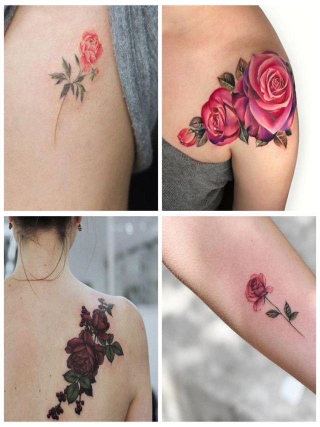 Lista 100+ Foto tatuajes de flores en el hombro para mujeres significado Mirada tensa