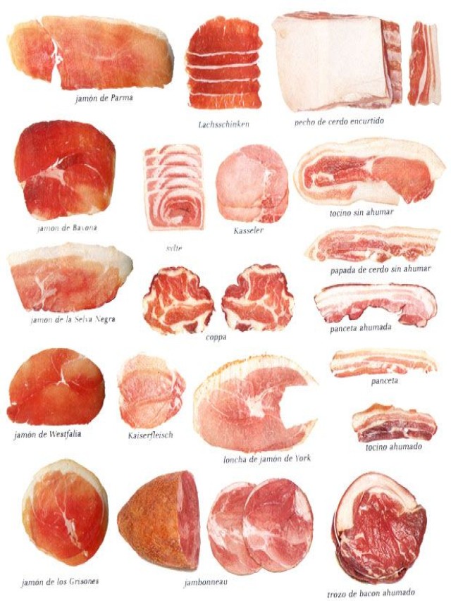 Lista 105+ Foto tipos de carnes frias y embutidos Lleno