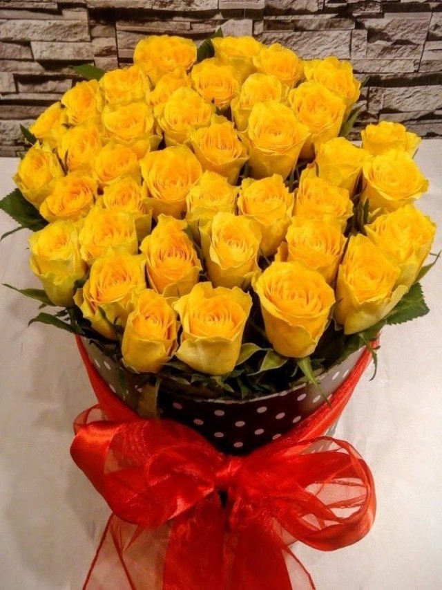 Arriba 105+ Foto tus flores amarillas solo por bonita Alta definición completa, 2k, 4k