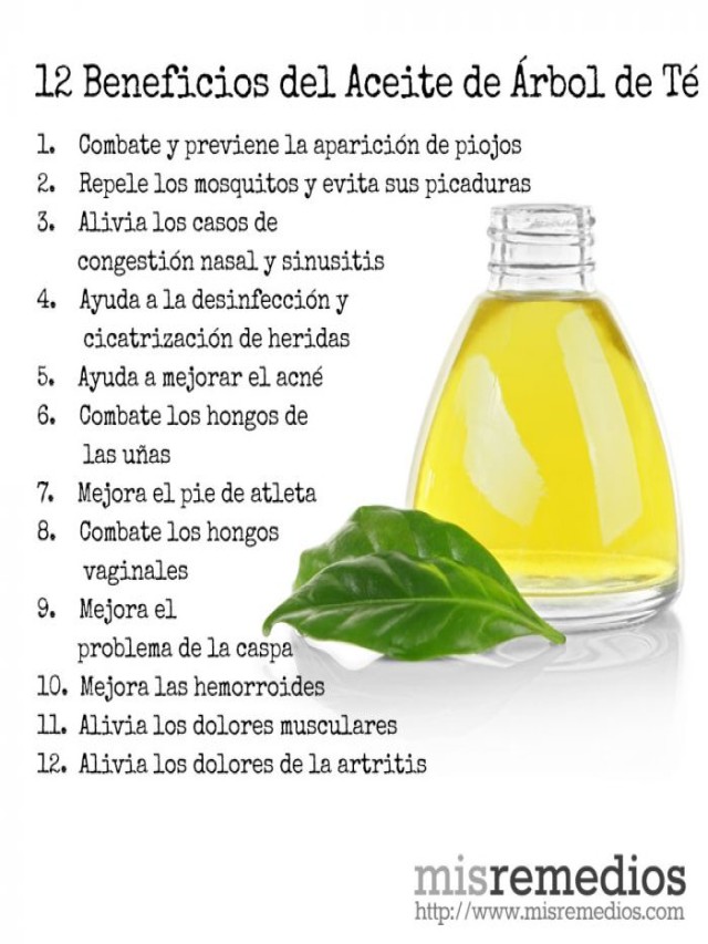 Lista 93+ Foto usos del aceite del árbol de té en jardinería Lleno