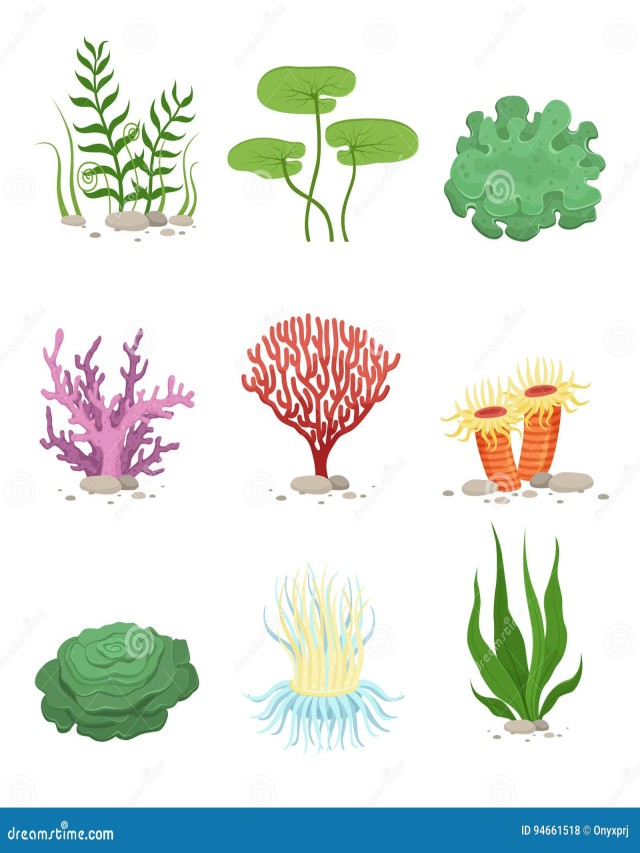 Lista 92+ Foto vegetacion acuatica y subacuatica flora y fauna Alta definición completa, 2k, 4k
