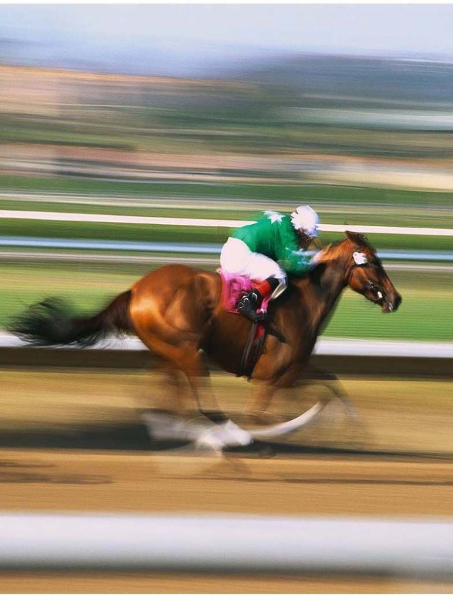 Álbumes 103+ Foto velocidad de un caballo de carrera Cena hermosa