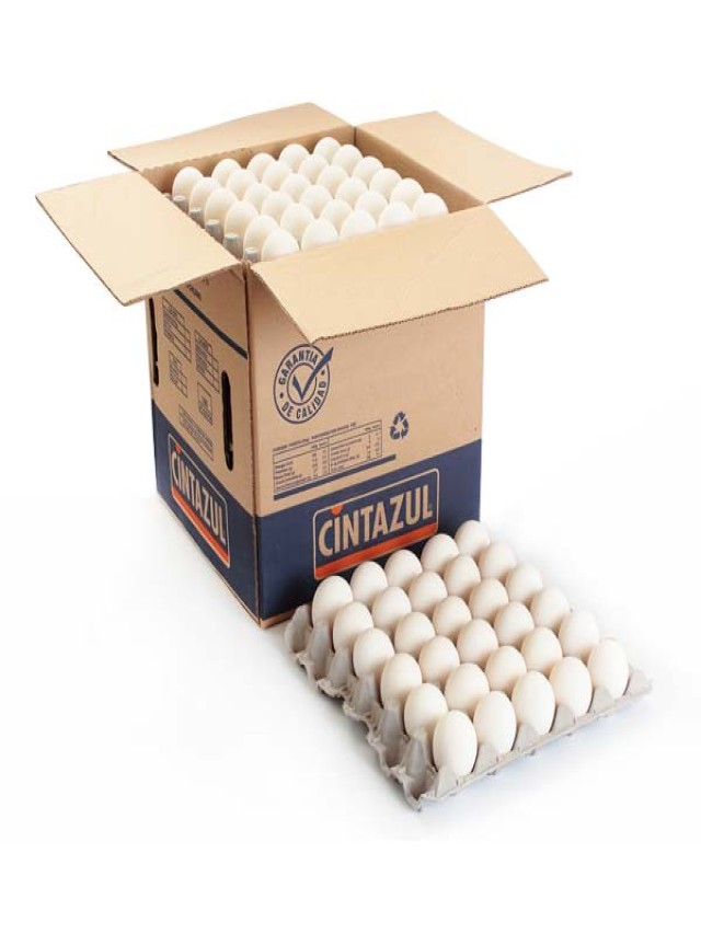 Sintético 99+ Foto venta de cajas de huevo usadas Lleno