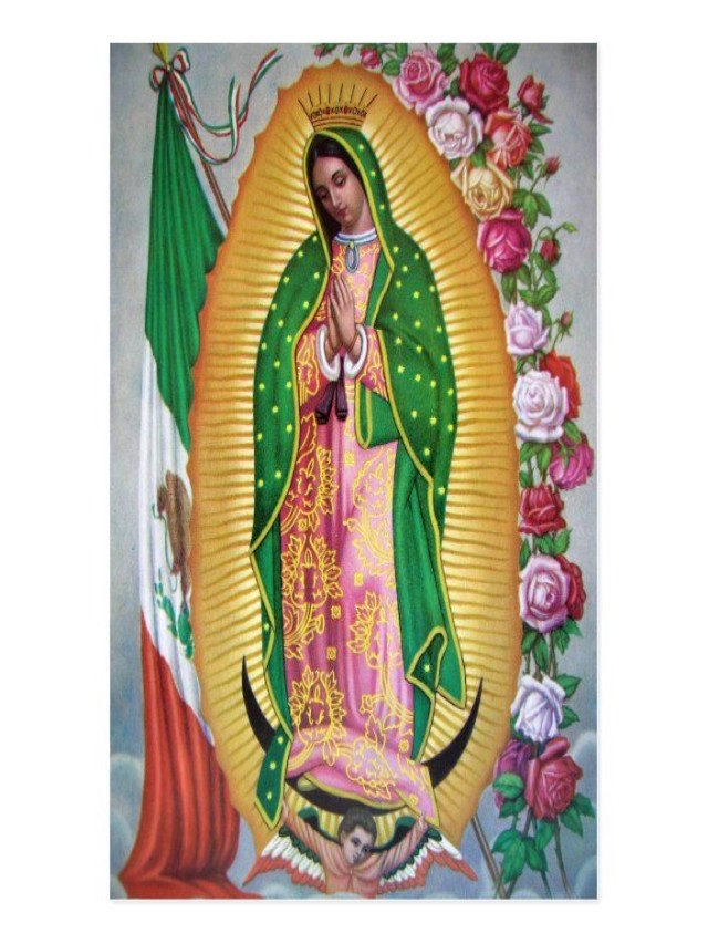 Arriba 102+ Foto virgen de guadalupe bandera de mexico Alta definición completa, 2k, 4k