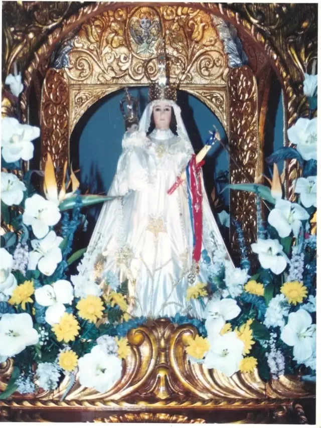 Lista 103+ Foto visita de la virgen de candelaria a santa cruz Mirada tensa