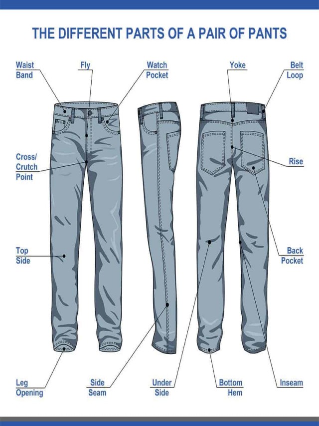 Álbumes 98+ Imagen what are the parts of pants called Lleno
