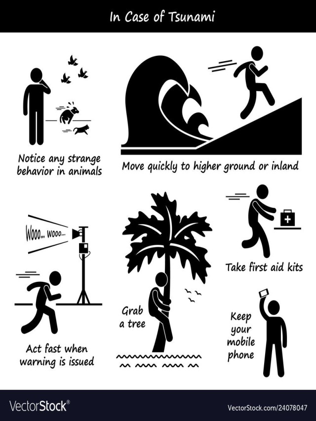 Lista 100+ Foto what to do in case of an tsunami El último