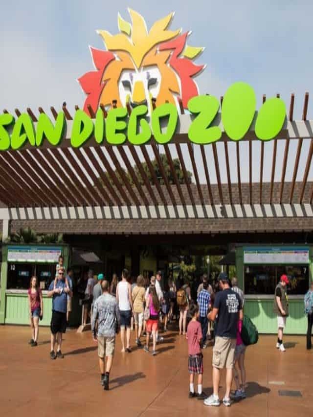 Lista 101+ Foto zoológico de san diego en vivo Mirada tensa
